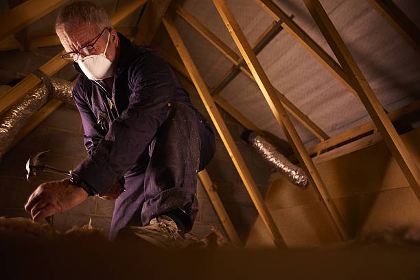 Best Garage Insulation Installation  in Bling, AR